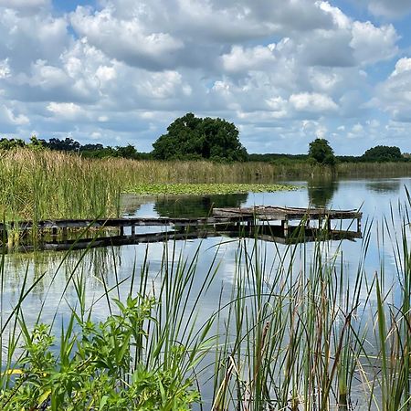 The Scandinavian Contemporary Blauw Lake Alfred Bagian luar foto